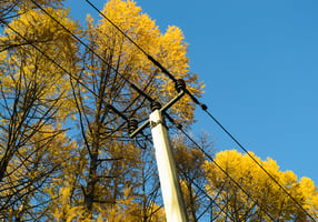 Fall-Home-Electrical-Safety-Inspection-Wilcox-Electric-DC