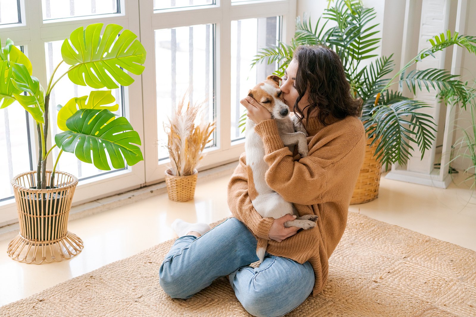 How-to-Protect-Your-Pet-From-Electrical-Hazards-WIlcox-Electric-DC