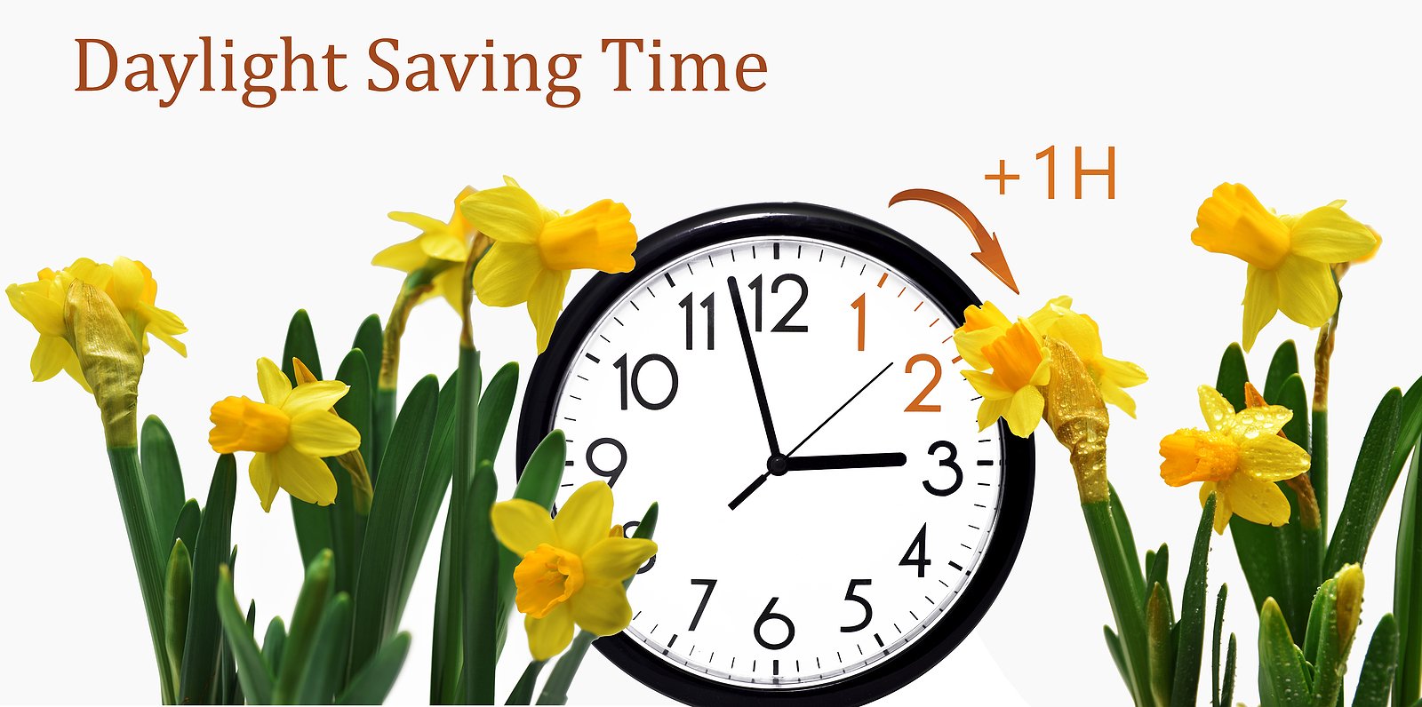 Why We Spring Forward Every Year