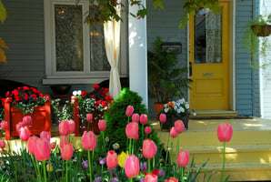 Front porch of home with yellow doors and pink tulips Wilcox Electric DC
