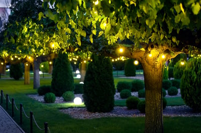 bigstock-Illumination-Garden-Light-With-404557769