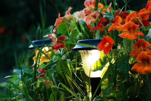 bigstock-Lanterns-In-A-Garden-8262801