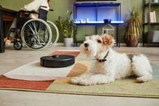 robot vacuum and dog in smart tech home wilcox electric dc