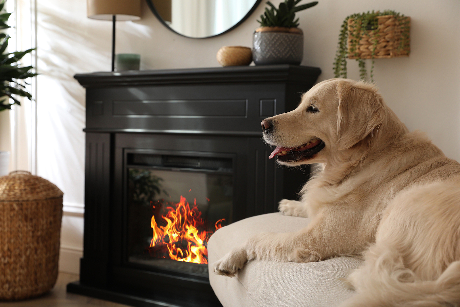 Cozy-comfort-or-clean-convenience-Gas-vs.-Electric-Fireplaces-Wilcox-Electric-DC