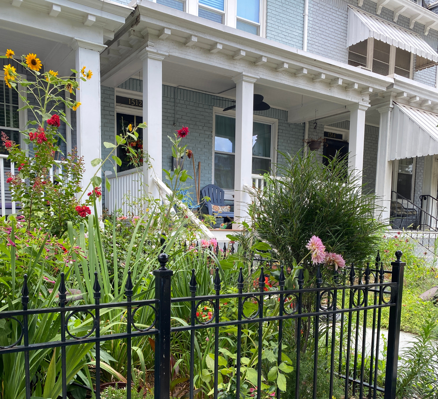 A historic home with summer garden in bloom in Kingman Park, Washington, DC. Wilcox Electric DC.