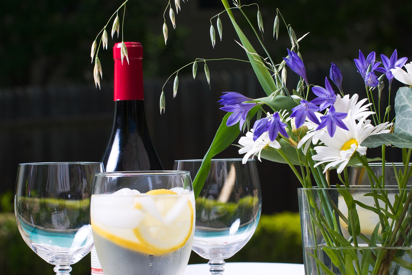 A romantic outdoor dinner with wine and flowers Wilcox Electric DC